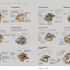Aves de Europa - Identificación de todas las especies y plumajes - Imatge 14