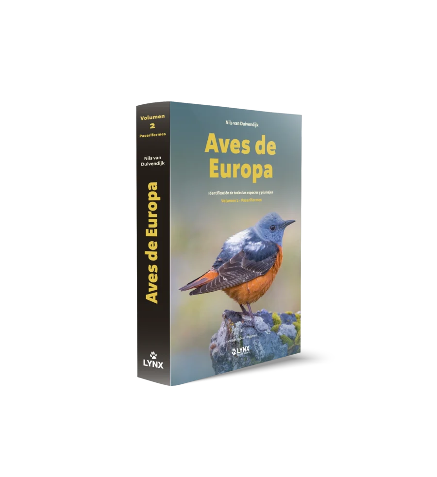 Aves de Europa - Identificación de todas las especies y plumajes - Imatge 3