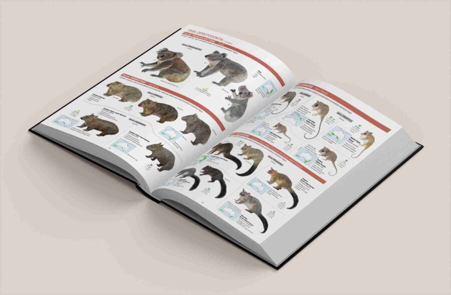 All the Mammals of the World - Lynx Nature Books