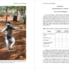 Lemurs of Madagascar - Imatge 3