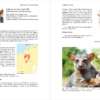 Lemurs of Madagascar - Imatge 5