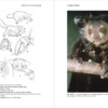 Lemurs of Madagascar - Imatge 8