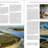 The East Atlantic Flyway of Coastal Birds | Peter Prokosch | Lynx Nature Books