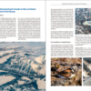 The East Atlantic Flyway of Coastal Birds | Peter Prokosch | Lynx Nature Books