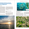 The East Atlantic Flyway of Coastal Birds | Peter Prokosch | Lynx Nature Books