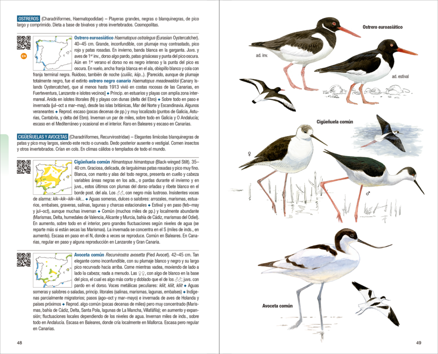 Aves de España | nova edició | Eduardo de Juana i Juan Varela | Llibres de natura Lynx