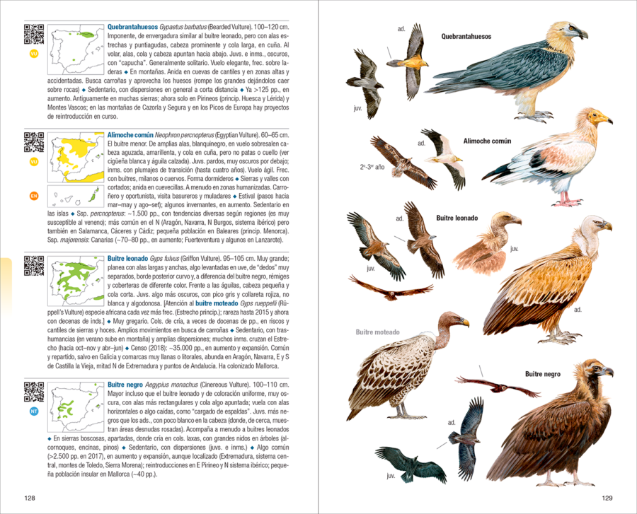 Aves de España | 新版 | Eduardo de Juana y Juan Varela | Lynx Nature Books