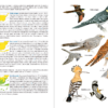 Aves de España | nueva edición | Eduardo de Juana y Juan Varela | Lynx Nature Books