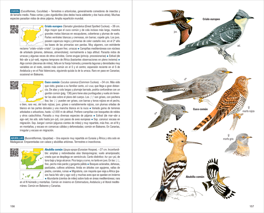 Aves de España | 新版 | Eduardo de Juana y Juan Varela | Lynx Nature Books