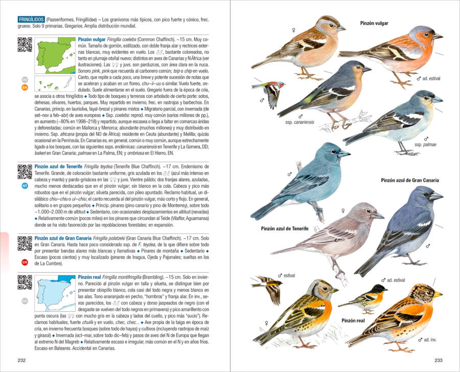 Aves de España | 新版 | Eduardo de Juana y Juan Varela | Lynx Nature Books