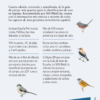 Aves de España | nueva edición | Eduardo de Juana y Juan Varela | Lynx Nature Books