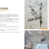Birds That Leave Their Mark - Imatge 6