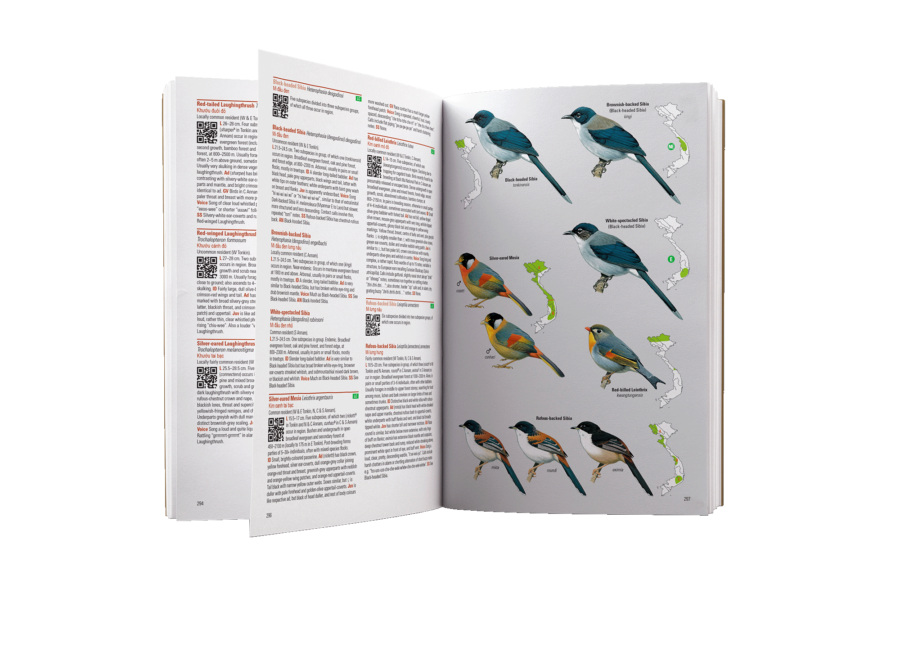 Birds of Vietnam 2nd Edition | Lynx Nature Books