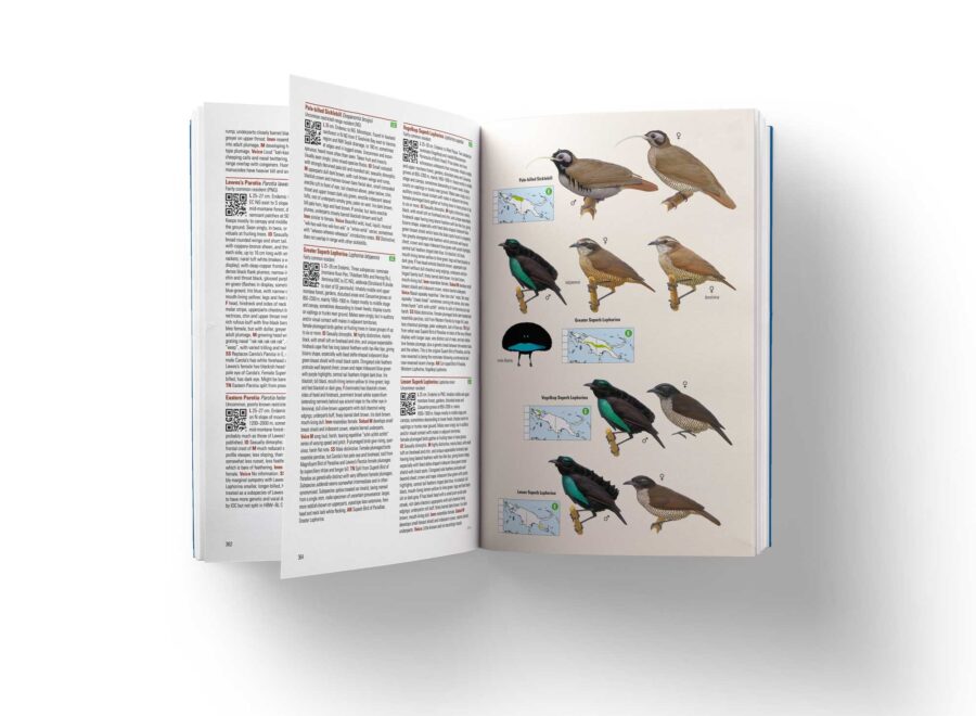 Birds of New Guinea (2nd Edition) - Image 2