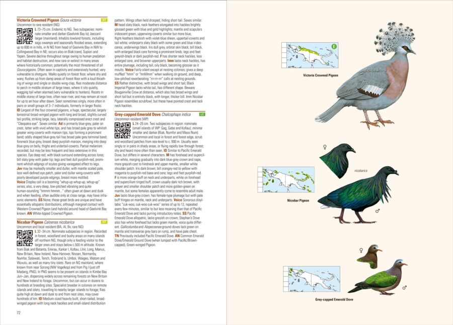 Birds of New Guinea (2nd Edition) - Image 3