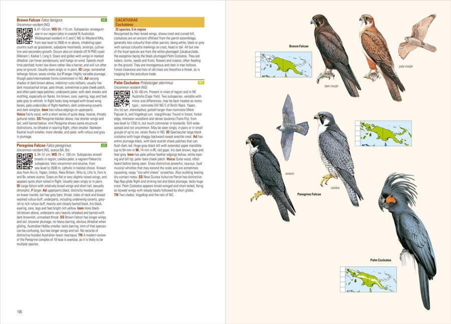Birds of New Guinea (2nd Edition) - Image 4