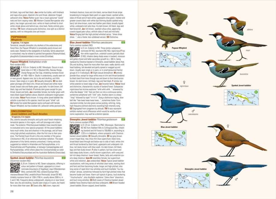 Birds of New Guinea (2nd Edition) - Image 5