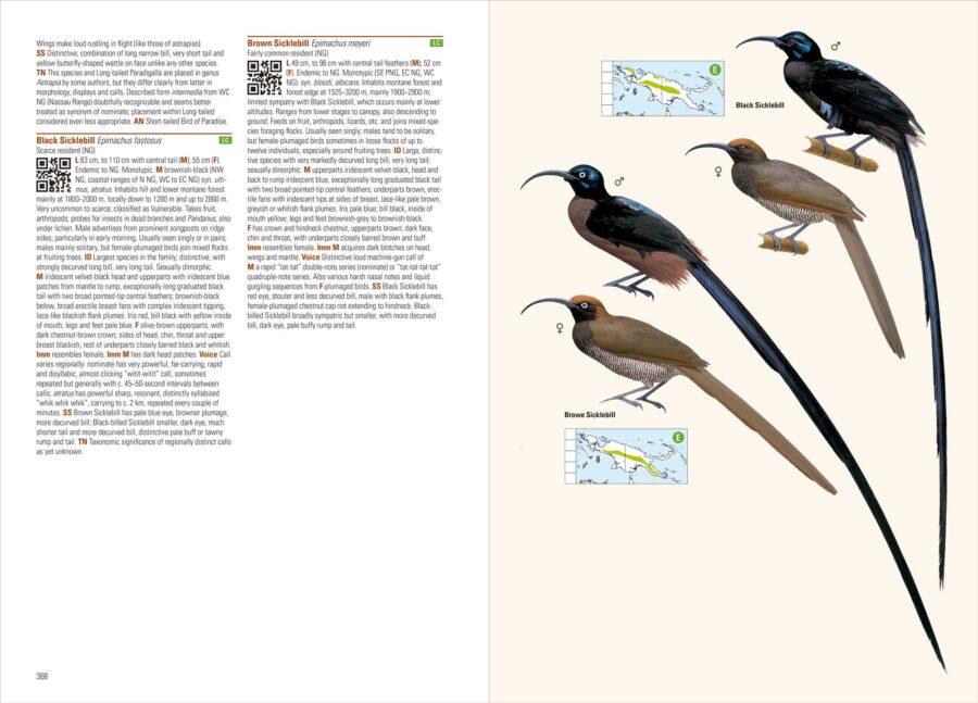 Birds of New Guinea (2nd Edition) - Image 6