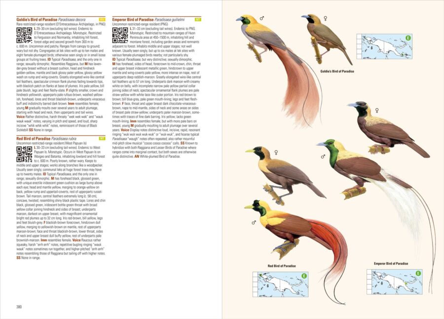 Birds of New Guinea (2nd Edition) - Image 7