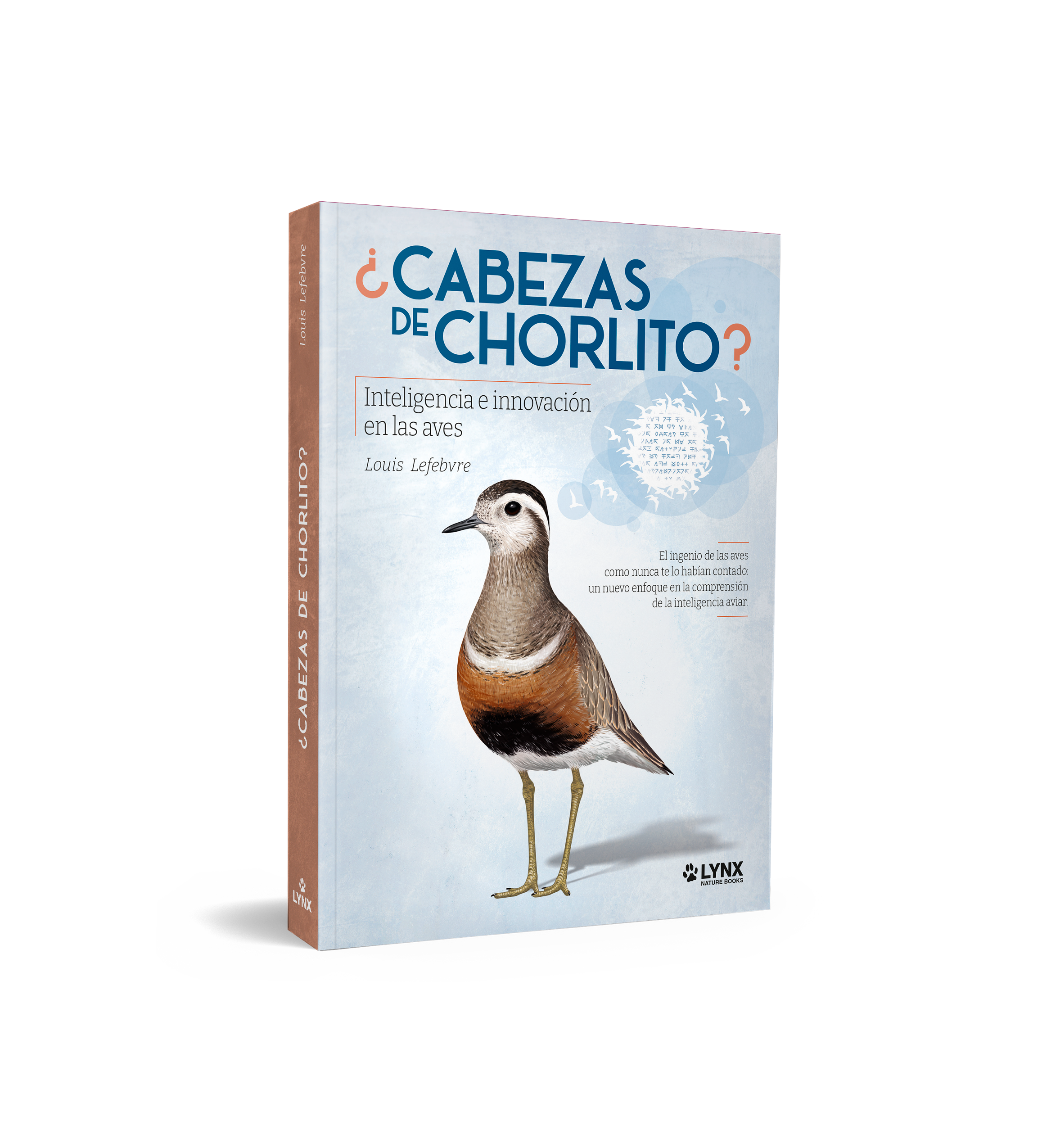 ¿Cabezas de chorlito?
Inteligencia e innovación en las aves