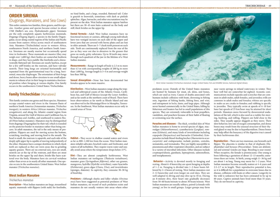 Mammals of the Southwestern United States - Imatge 3