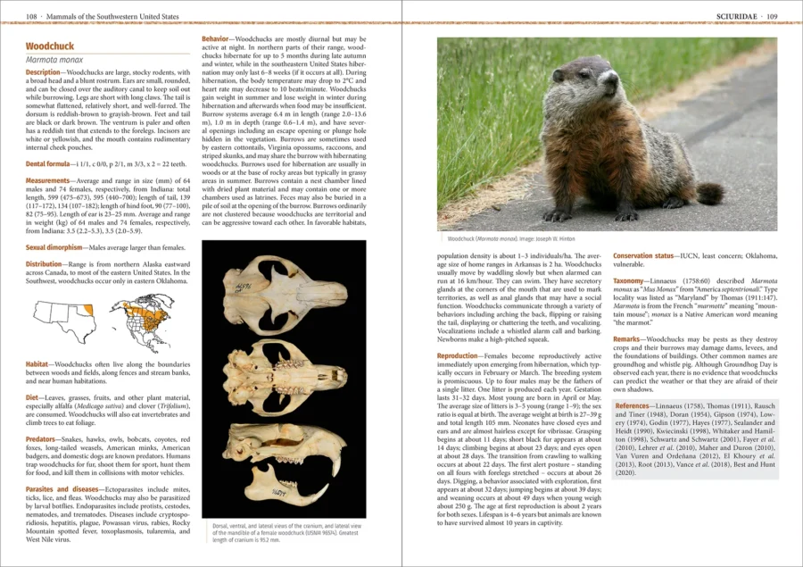 Mammals of the Southwestern United States - Imatge 4