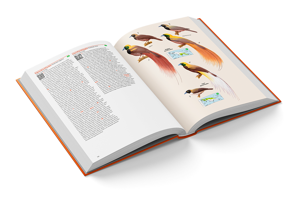 El papel de la publicación científica en la conservación - Birds of New Guinea
