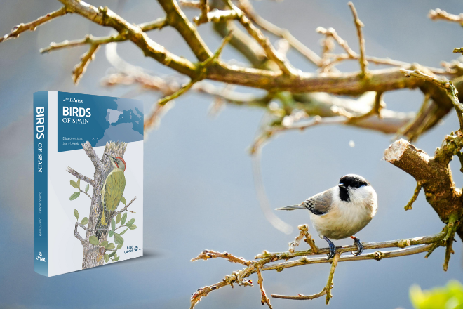 Birds of Spain | Eduardo de Juana | Juan Varela | Lynx Nature Books