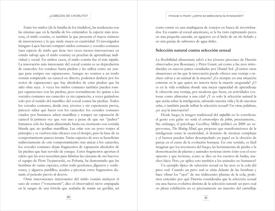 ¿Cabezas de chorlito? - Image 4