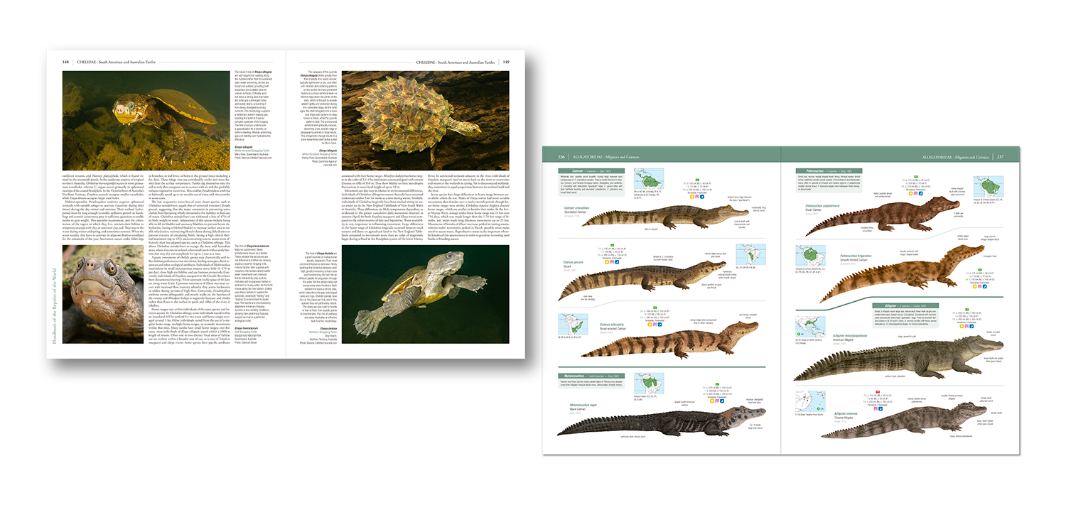 Turtles and Crocodiles | Handbook of the Reptiles of the World
