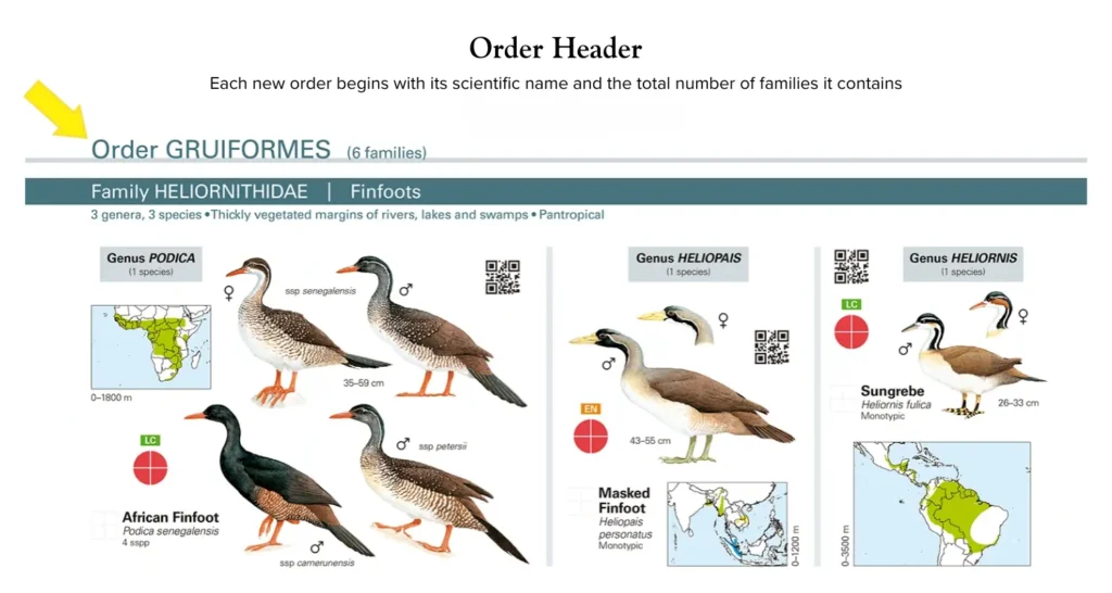 Each new order begins with its scientific name and the total number of families it contains