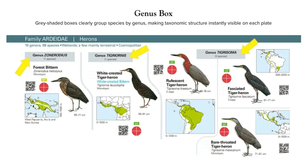 Grey-shaded boxes clearly group species by genus, making taxonomic structure instantly visible on each plate