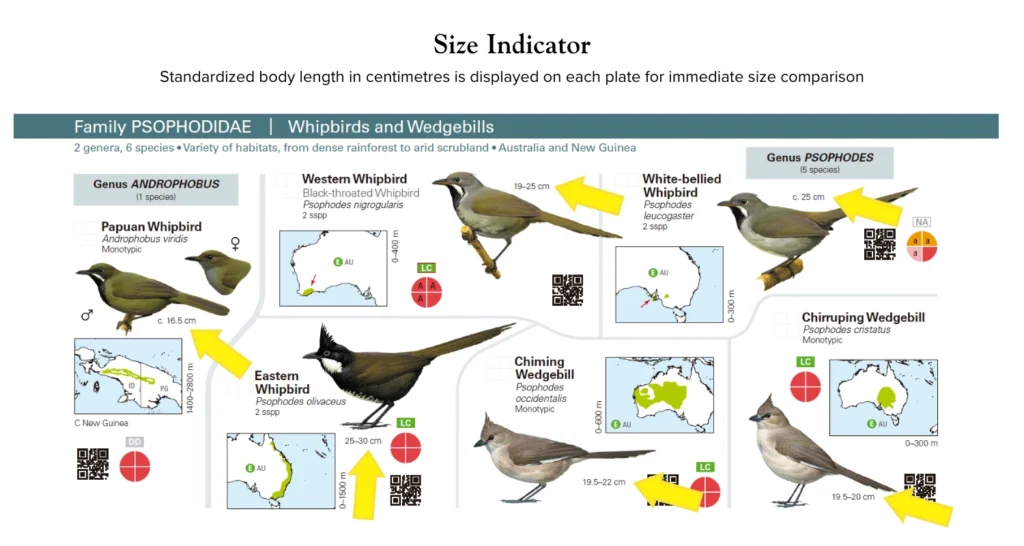 Standardized body length in centimetres is displayed on each plate for immediate size comparison