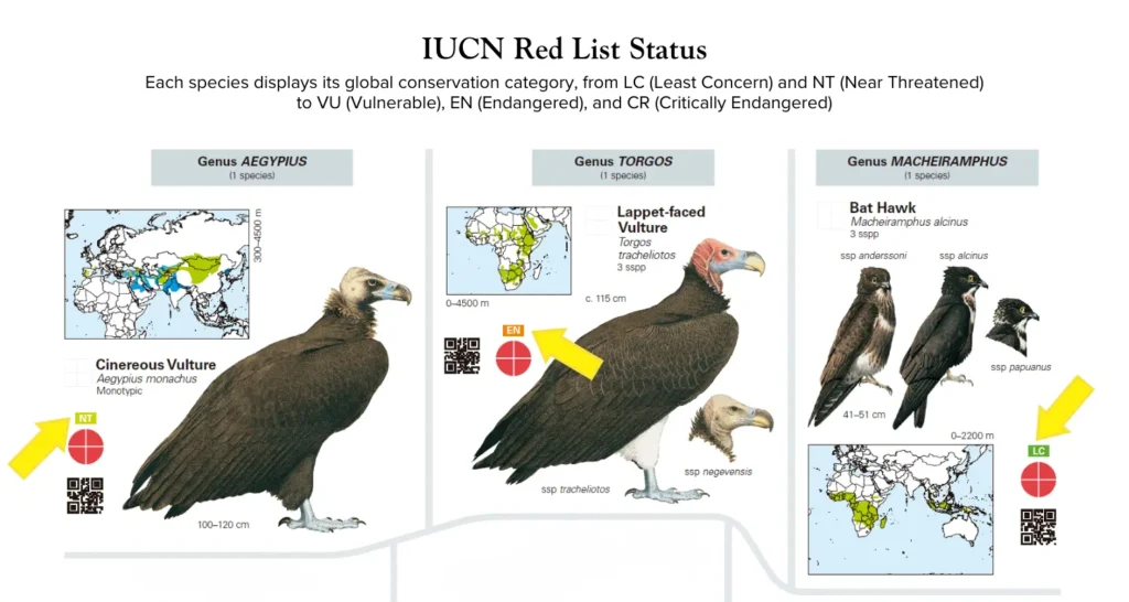 Each species displays its global conservation category, from LC (Least Concern) and NT (Near Threatened)
to VU (Vulnerable), EN (Endangered), and CR (Critically Endangered)