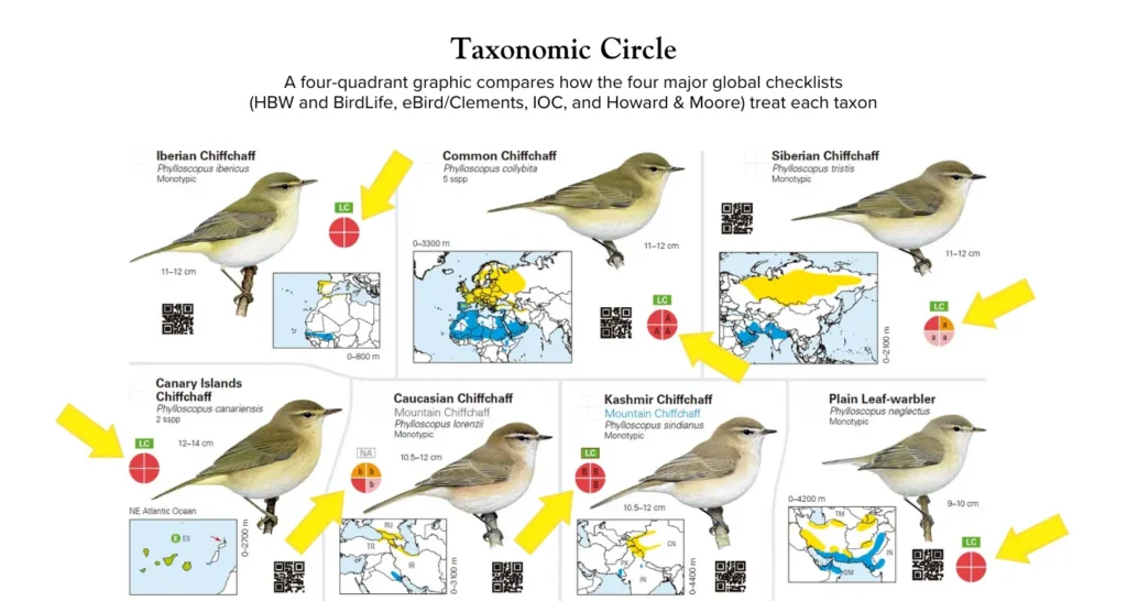 A four-quadrant graphic compares how the four major global checklists
(HBW and BirdLife, eBird/Clements, IOC, and Howard & Moore) treat each taxon