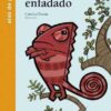 El camaléon enfadado book cover image