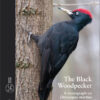 The Black Woodpecker - 图片 7