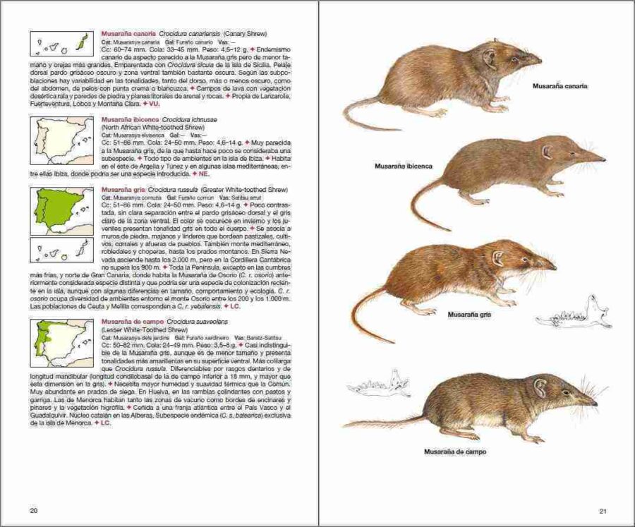 Página de muestra de Mamíferos de España