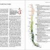 Flora y fauna de Chile. Guía de identificación sample page