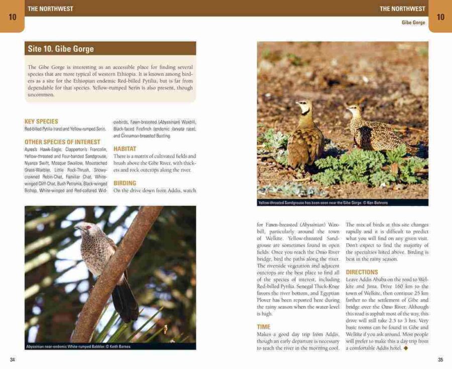 Página de ejemplo de Birding Ethiopia