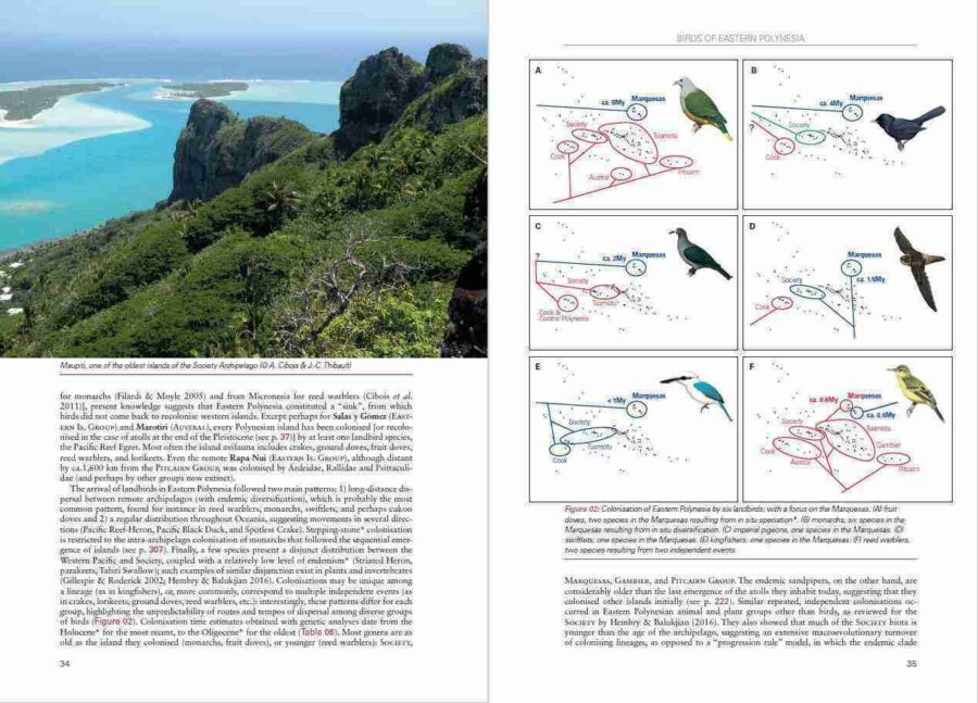 Birds of Eastern Polynesia sample page