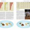 Threatened Amphibians of the World sample page