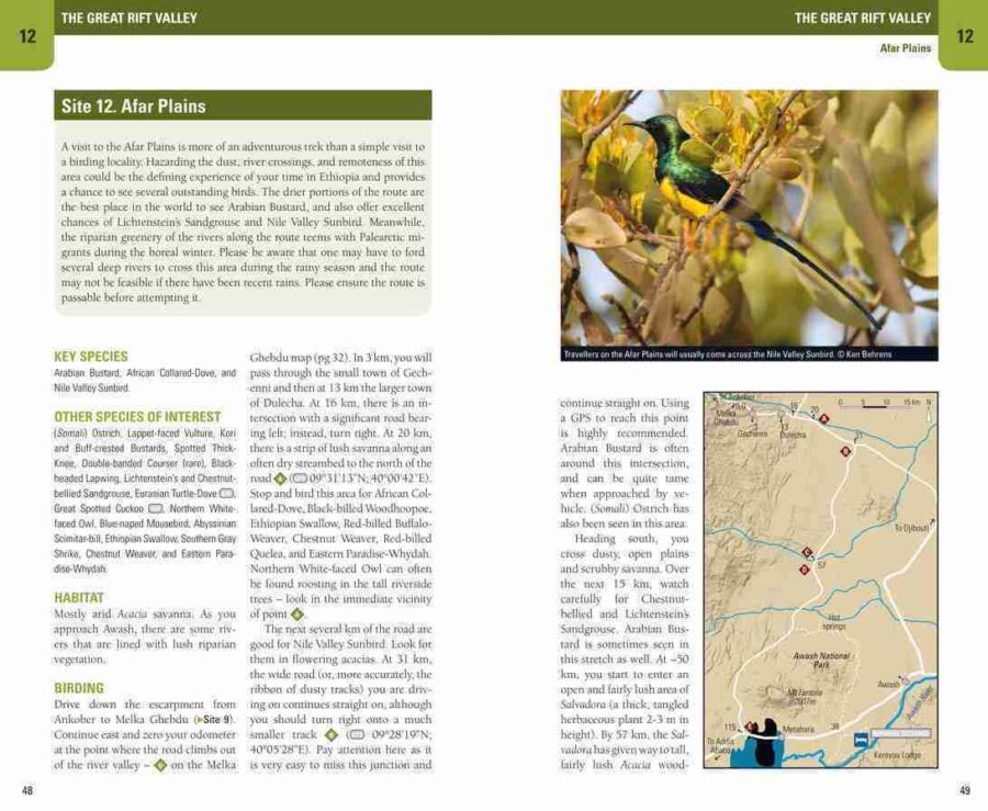 Birding Ethiopia sample page