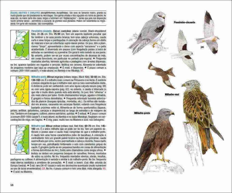 Pàgina de mostra Aves de Portugal