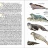 Mamíferos de España sample page