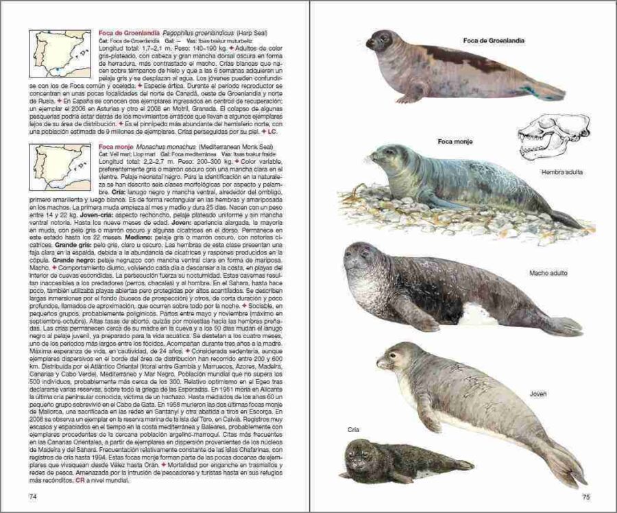 Página de muestra de Mamíferos de España