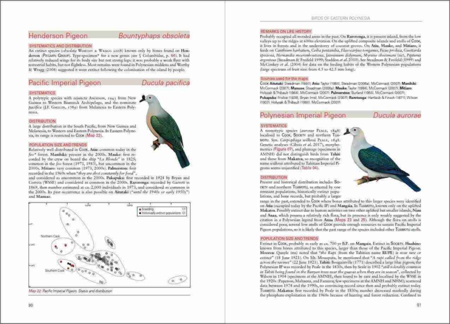 Aves de la Polinesia Oriental página de muestra