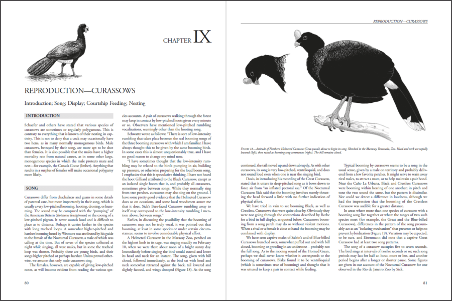 Curassows and Related Birds sample page