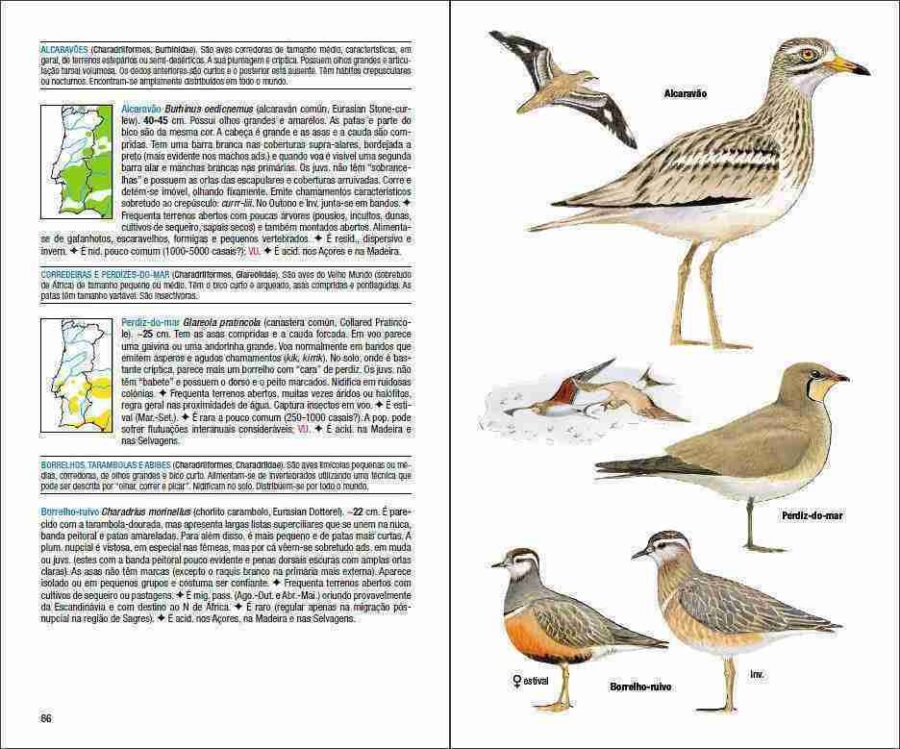 Pàgina de mostra Aves de Portugal