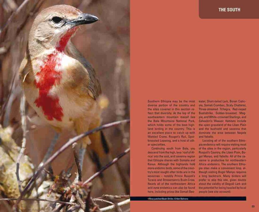 Página de ejemplo de Birding Ethiopia